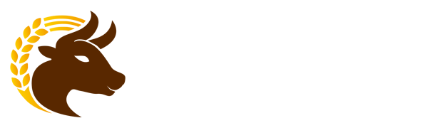 币游·国际(中国游)官方网站